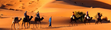 morocco private trip