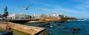 Excursion d'une journée à Essaouira de Marrakech.