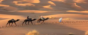 Merzouga désert départ de Marrakech circuit 3 jours