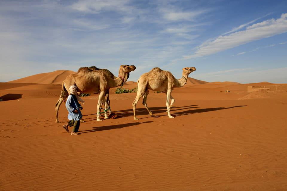 3 days Tour Ouarzazate Merzouga desert