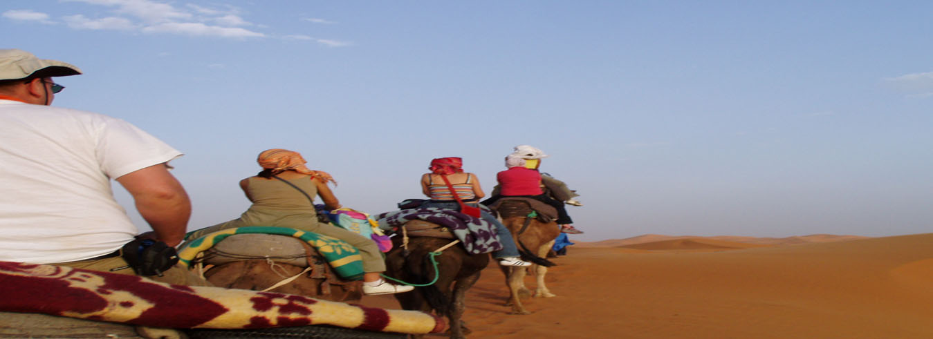 https://moroccotourtravel.com/wp-content/uploads/2016/11/camel.jpg