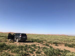 circuit desert Sud marocain 4 jours depart Ouarzazate