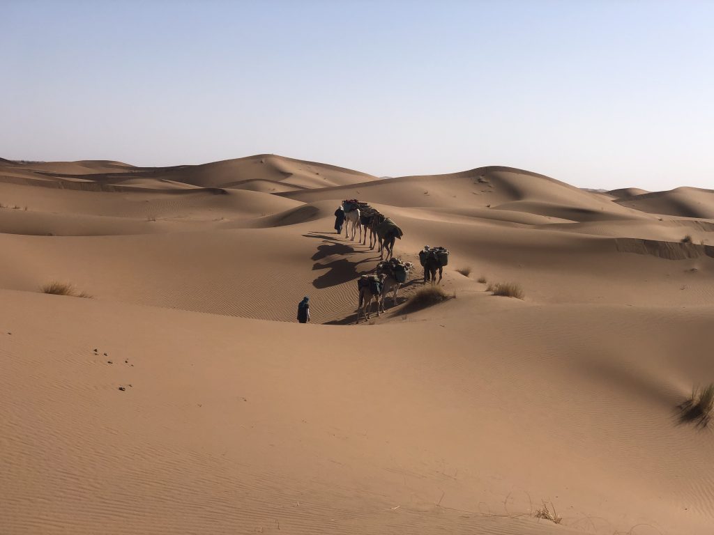 Excursion privée au désert d'erg chegaga au départ de Marrakech