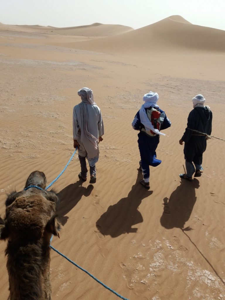 Maroc désert 9 jours sud Marocain. Jour 01: Arrivée à Marrakech selon votre arrivée en vient vous chercher à l'aéroport de Marrakech, pour vous ramener à votre riad. Jour 02: Marrakech >> cascades d'ouzoud >> Aït bougmez départ de votre circuit Maroc désert 9 jours sud Marocain. dans la matinée vers les cascades d'ouzoud. On arrive après 3 heures de route de Marrakech, Descente au pied de la cascade, par un escalier. Observation des Singes Sauvages Macaques de Barbarie. Remontée après avoir descendu jusqu' en bas de la cascade et retour par un autre chemin. Possibilité de Balade avec un Guide Local dans les sentiers alentour. Restaurants en terrasse le long du sentier de descente. Dans l'après midi retour à l'hôtel. Jour 03: Aït bougmez >> Oasis de fint après le petit déjeuner départ pour ouarzazate, en traversant le haut atlas. paysages magnifiques. picnic sur la route. en passant par Skora et Ouarzazate. en arrivant dans l'après midi à l'oasis de fint balade à pied dans le oasis et nuit sur place. Jour 04: Fint >> Foum zguid >> Erg chegaga ( Bivouac ) après une nuit dans un Oasis, départ pour le grand désert du Sahara. en passant par taznakht le capital des tapis Berbere possibilité de visiter l'une des coopératives dans un village. dans le midi en arrive à foum zguid pour prendre l'ancien piste de Paris dakar vers le lac iriki. en arrivant dans l'après midi au bivouac dans les dunes de chegaga, dîner et nuit au milieu des dunes. Jour 05: Balade dans les dunes journée trek et dromadaire dans le désert. Vous allez passer la journée dans les dunes à pied ou à dos de dromadaires, un picnic vous sera servi dans le désert Marocain et retour dans l'après midi au bivouac. Jour 06: Désert de Chegaga >> Zagora >> Agdz départ en 4x4 pour agdz, en visitant le village de tamgrout et la fabrication de poterie, bibliothèque coranique puis route à zagora pour visiter la kasbah à Amezrou. dans l'après midi route de la vallée de draa, en arrivent à votre hôtel. nuit dans hôtel dans la palmeraie du draa. jour 07: Agdz – Ait ben haddou – la vallée d'Ounila – Marrakech Départ de Agdz le matin, traverser le petit Atlas, pour rejoindre la kasbah d'ait ben haddou et la vallée d’Ounila (Cette vallée était le passage obligé des caravanes entre Marrakech et Ouarzazate, et constitue un environnement extraordinaire. Tout au long de cette vallée, un contraste saisissant entre l’ocre de la terre et des roches et la verdure des plantations s'offrent aux marcheurs qui prennent le temps de l’observer). Continuation jusqu’à Telouet, visite de la kasbah Glaoui (parfois aussi appelée Palais du Glaoui, c’est une kasbah bâtie entre le XIXe siècle et le XXe siècle, son occupant le plus célèbre est sans doute Thami El Glaoui). Arrivez l'après-midi à votre Riad à Marrakech. Jour 08: Visite la ville de Marrakech. Après le petit déjeuner au riad, vous commencez votre visite de Marrakech “la ville rouge du Maroc”, elle a été fondée au XIIe siècle par la dynastie des Almoravides. Vous aurez la chance de visiter le tombeau Saadien, les jardins Majorelle, le palais Bahia, ( en voiture ) et la Koutoubia, les marchés de la ville, puis vous irez rejoindre la célèbre place Jemaa El Fna. Après la visite vous retournez à votre riad. Jour 09: Transfert à l'aéroport de Marrakech selon vos horaires de départ, on vient vous chercher de votre hôtel pour vous ramener à l'aéroport de Marrakech. fin de votre Maroc désert 9 jours sud Marocain.