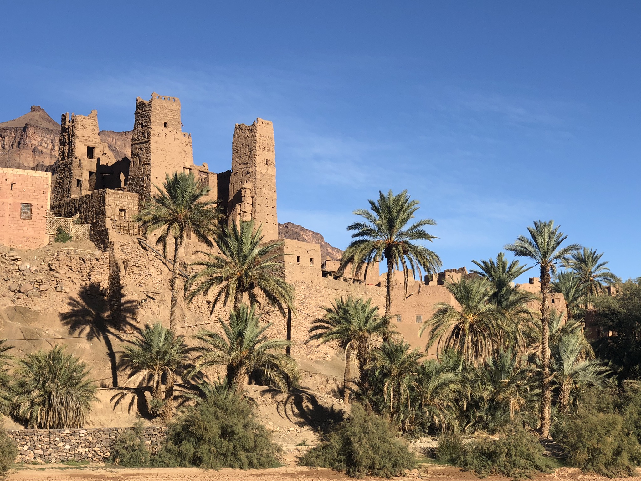 Full day trip from Ouarzazate to Zagora