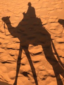 Full day trip from Ouarzazate to Zagora