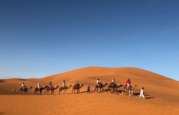 Berber culture and Sahara desert tour from Fez to Marrakech in 7 days