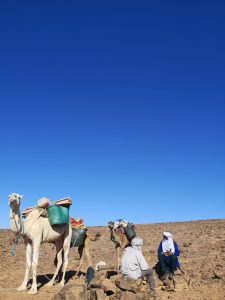 Maroc désert 9 jours sud Marocain. Jour 01: Arrivée à Marrakech selon votre arrivée en vient vous chercher à l'aéroport de Marrakech, pour vous ramener à votre riad. Jour 02: Marrakech >> cascades d'ouzoud >> Aït bougmez départ de votre circuit Maroc désert 9 jours sud Marocain. dans la matinée vers les cascades d'ouzoud. On arrive après 3 heures de route de Marrakech, Descente au pied de la cascade, par un escalier. Observation des Singes Sauvages Macaques de Barbarie. Remontée après avoir descendu jusqu' en bas de la cascade et retour par un autre chemin. Possibilité de Balade avec un Guide Local dans les sentiers alentour. Restaurants en terrasse le long du sentier de descente. Dans l'après midi retour à l'hôtel. Jour 03: Aït bougmez >> Oasis de fint après le petit déjeuner départ pour ouarzazate, en traversant le haut atlas. paysages magnifiques. picnic sur la route. en passant par Skora et Ouarzazate. en arrivant dans l'après midi à l'oasis de fint balade à pied dans le oasis et nuit sur place. Jour 04: Fint >> Foum zguid >> Erg chegaga ( Bivouac ) après une nuit dans un Oasis, départ pour le grand désert du Sahara. en passant par taznakht le capital des tapis Berbere possibilité de visiter l'une des coopératives dans un village. dans le midi en arrive à foum zguid pour prendre l'ancien piste de Paris dakar vers le lac iriki. en arrivant dans l'après midi au bivouac dans les dunes de chegaga, dîner et nuit au milieu des dunes. Jour 05: Balade dans les dunes journée trek et dromadaire dans le désert. Vous allez passer la journée dans les dunes à pied ou à dos de dromadaires, un picnic vous sera servi dans le désert Marocain et retour dans l'après midi au bivouac. Jour 06: Désert de Chegaga >> Zagora >> Agdz départ en 4x4 pour agdz, en visitant le village de tamgrout et la fabrication de poterie, bibliothèque coranique puis route à zagora pour visiter la kasbah à Amezrou. dans l'après midi route de la vallée de draa, en arrivent à votre hôtel. nuit dans hôtel dans la palmeraie du draa. jour 07: Agdz – Ait ben haddou – la vallée d'Ounila – Marrakech Départ de Agdz le matin, traverser le petit Atlas, pour rejoindre la kasbah d'ait ben haddou et la vallée d’Ounila (Cette vallée était le passage obligé des caravanes entre Marrakech et Ouarzazate, et constitue un environnement extraordinaire. Tout au long de cette vallée, un contraste saisissant entre l’ocre de la terre et des roches et la verdure des plantations s'offrent aux marcheurs qui prennent le temps de l’observer). Continuation jusqu’à Telouet, visite de la kasbah Glaoui (parfois aussi appelée Palais du Glaoui, c’est une kasbah bâtie entre le XIXe siècle et le XXe siècle, son occupant le plus célèbre est sans doute Thami El Glaoui). Arrivez l'après-midi à votre Riad à Marrakech. Jour 08: Visite la ville de Marrakech. Après le petit déjeuner au riad, vous commencez votre visite de Marrakech “la ville rouge du Maroc”, elle a été fondée au XIIe siècle par la dynastie des Almoravides. Vous aurez la chance de visiter le tombeau Saadien, les jardins Majorelle, le palais Bahia, ( en voiture ) et la Koutoubia, les marchés de la ville, puis vous irez rejoindre la célèbre place Jemaa El Fna. Après la visite vous retournez à votre riad. Jour 09: Transfert à l'aéroport de Marrakech selon vos horaires de départ, on vient vous chercher de votre hôtel pour vous ramener à l'aéroport de Marrakech. fin de votre Maroc désert 9 jours sud Marocain.