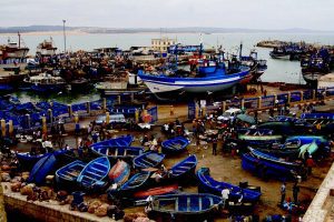 Excursion d'une journée à Essaouira de Marrakech