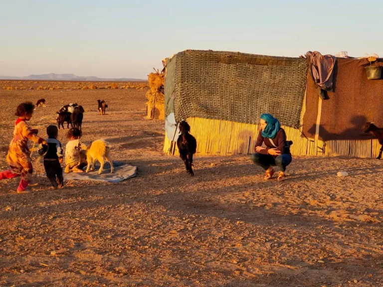 camels and Nomadic Life