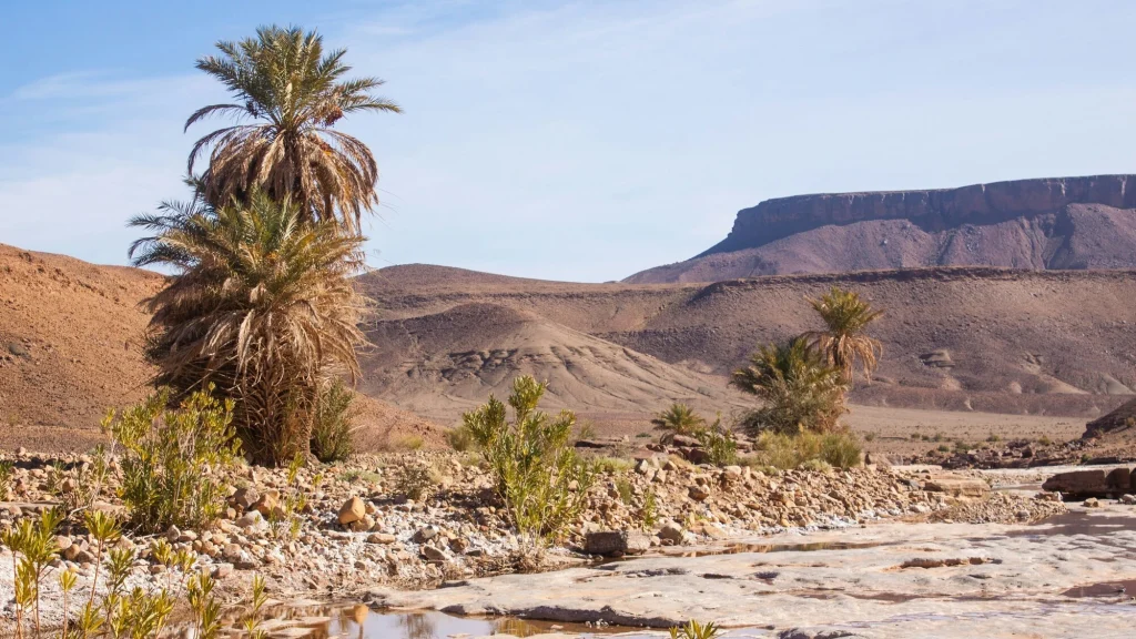 Erg Chegaga Desert Tour from Zagora