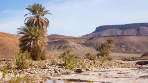 Erg Chegaga Desert Tour from Zagora
