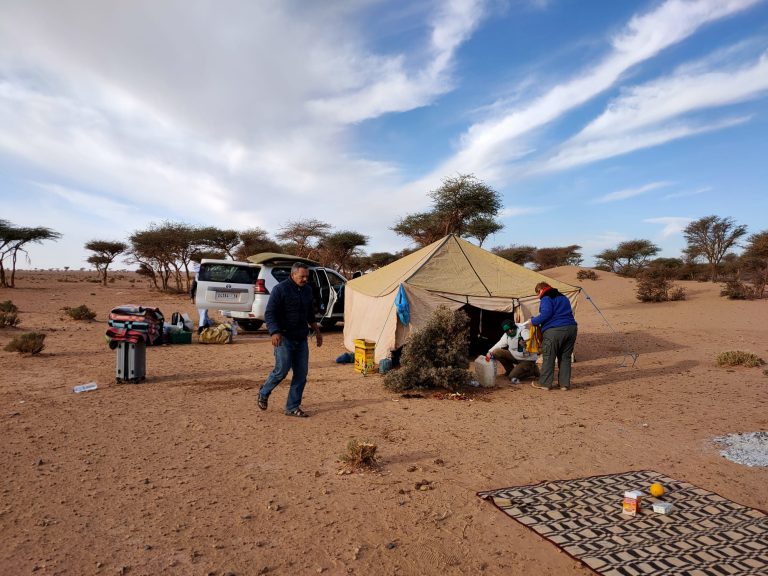 Trek dans le désert Marocain