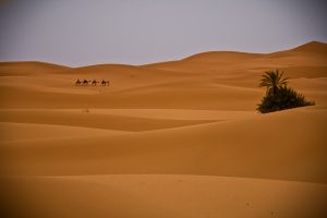 3 Days Sahara desert Tour from Fez to Marrakech
