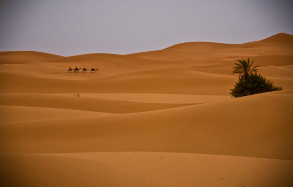 Excursion 3 Jours  Fes desert fin à Marrakech