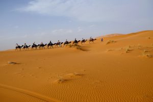 circuit 2 jours Fès au désert de Merzouga fin a Marrakech. 2 days tour from fes to Merzouga desert