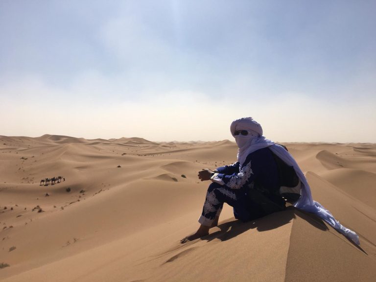 Scorpions or Snakes in the Desert
