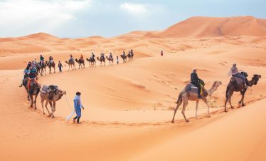 Tourists ride camels across the scenic sand dunes of Merzouga, Morocco.