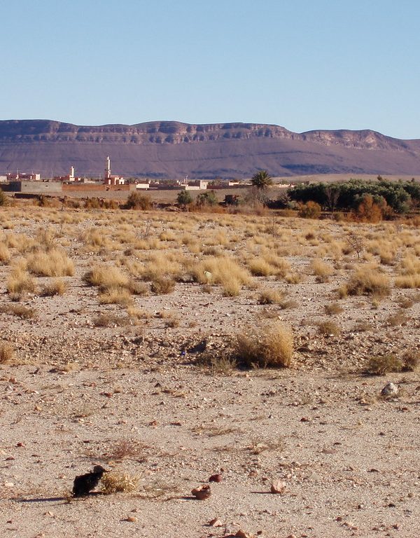 excursion 4 jours Erg Chegaga de Marrakech