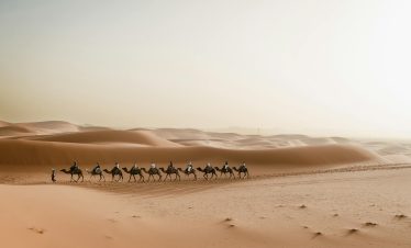 A picturesque camel caravan journey through Merzouga dunes in the Sahara Desert, Morocco.