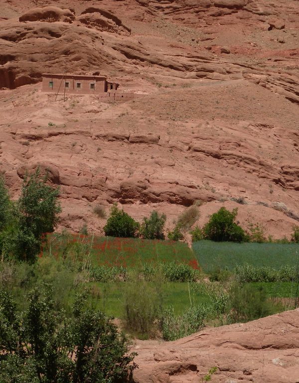 Ouarzazate à la vallée du Dadès