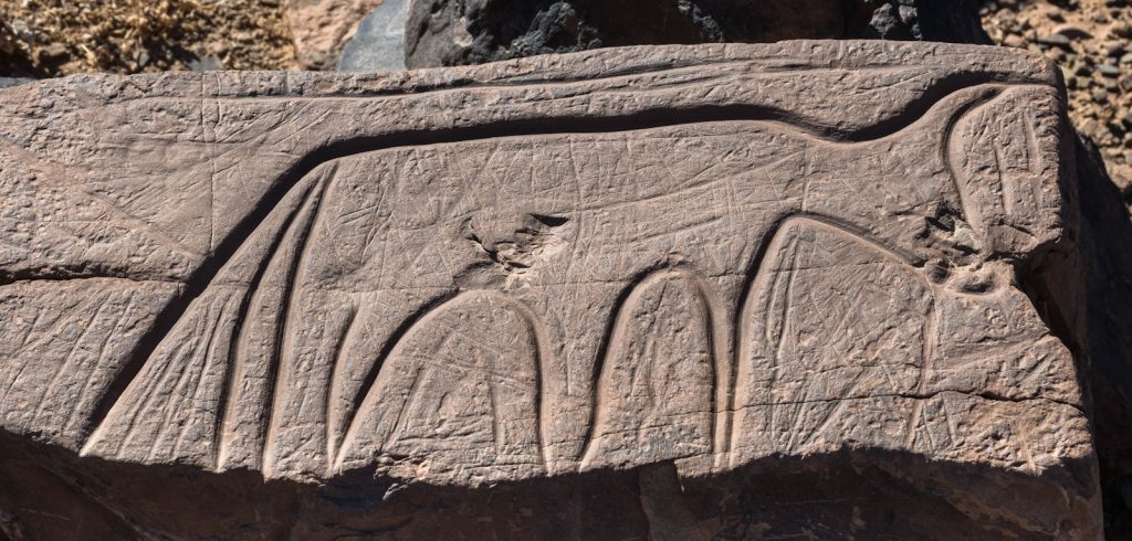 a rock with a carving of a bird on it