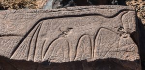 a rock with a carving of a bird on it