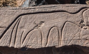 a rock with a carving of a bird on it