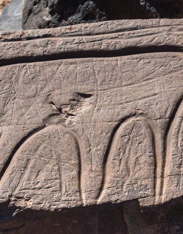 a rock with a carving of a bird on it