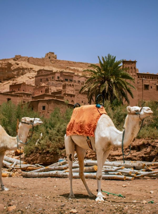 ait ben haddou