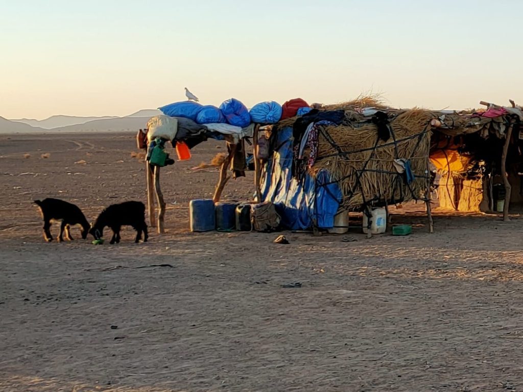 Excursion 4 jours désert chegaga de Marrakech