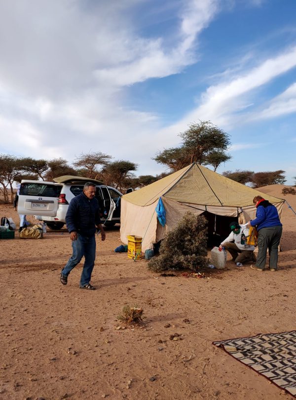 Expédition Sahara: La Diagonale Secrète 6 Jours