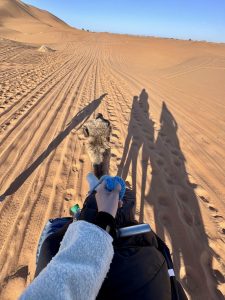 3-day Merzouga tour from Marrakech