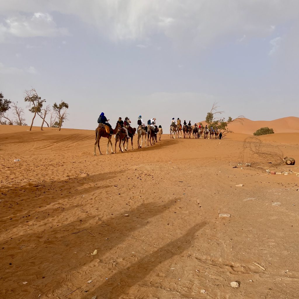 Circuit Sud Maroc Authentique