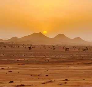 Excursions au Désert Marocain