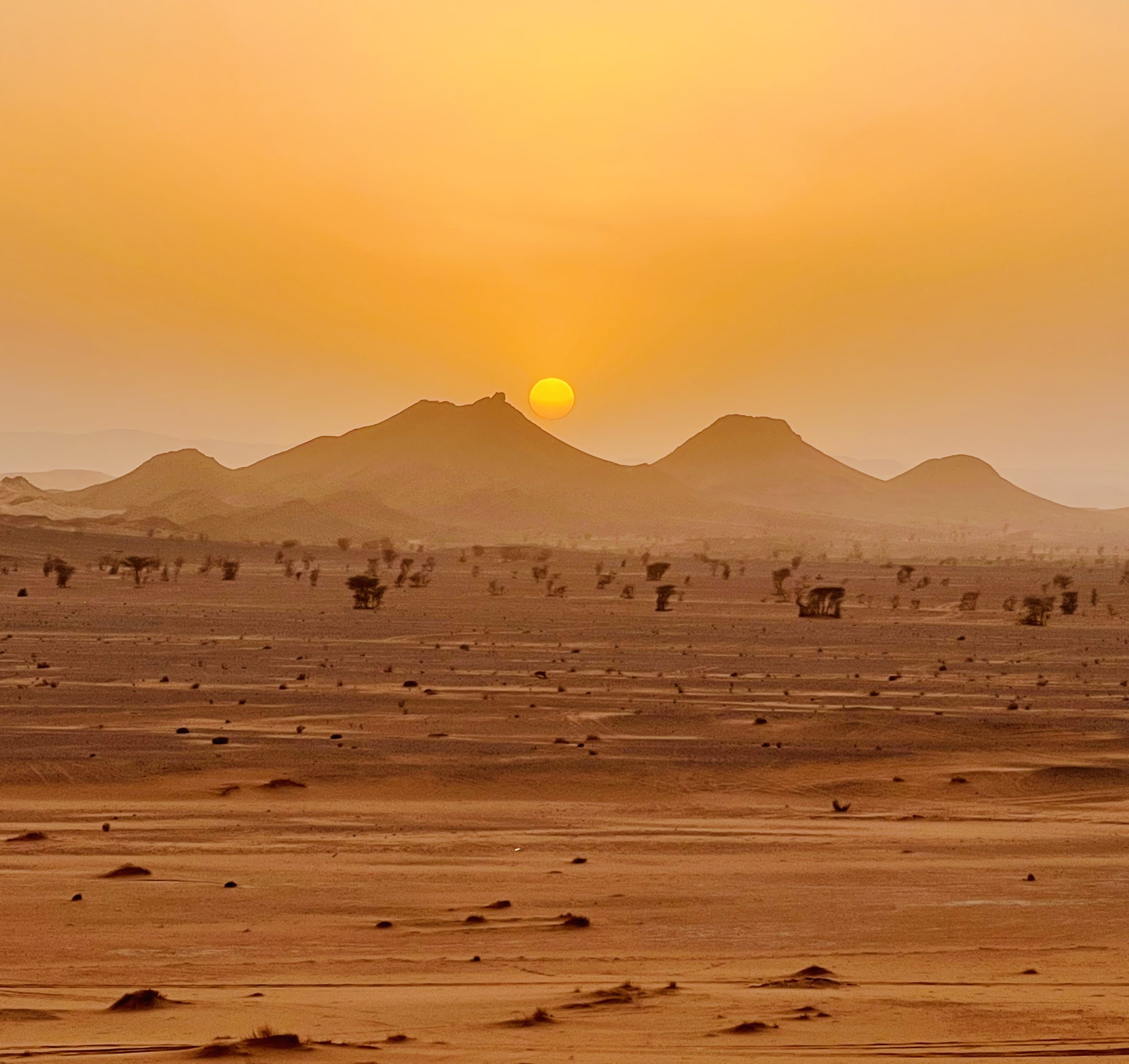 Morocco Tours