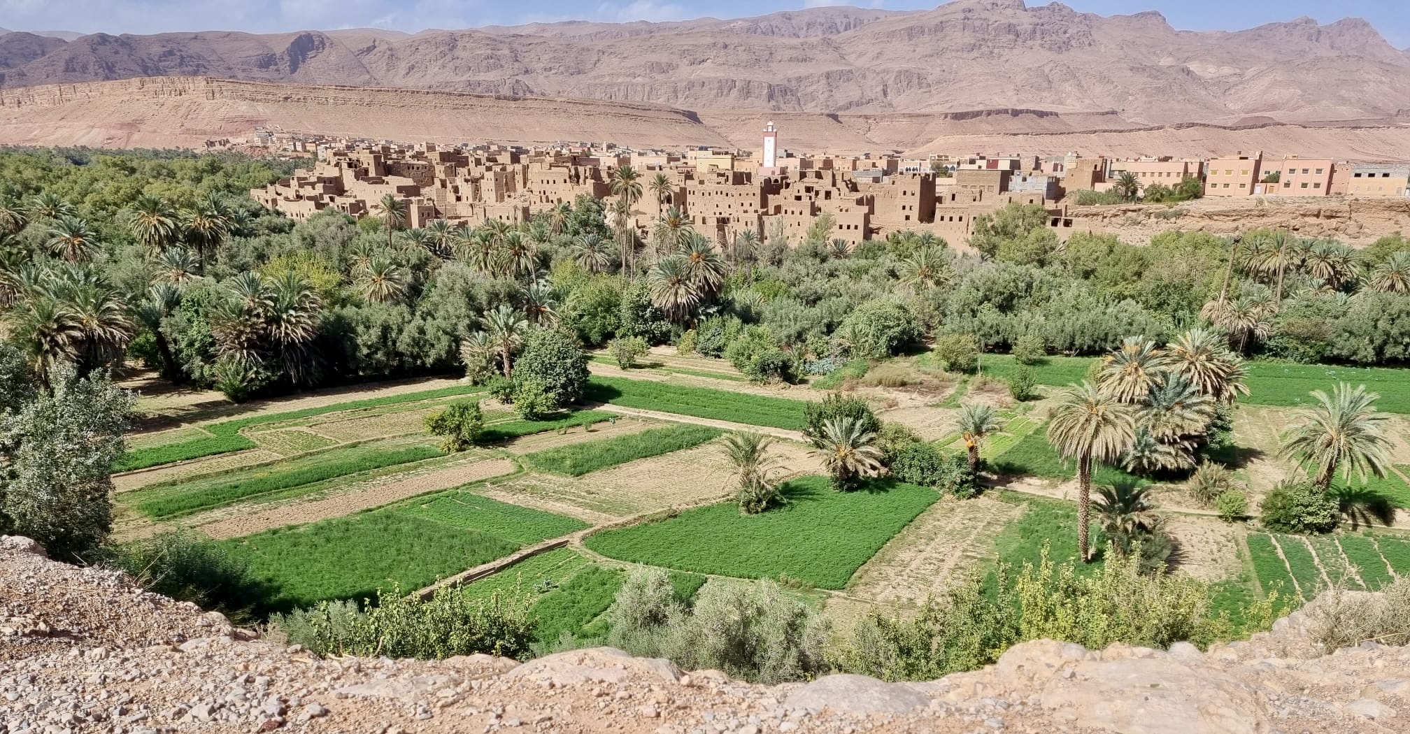 Morocco Desert