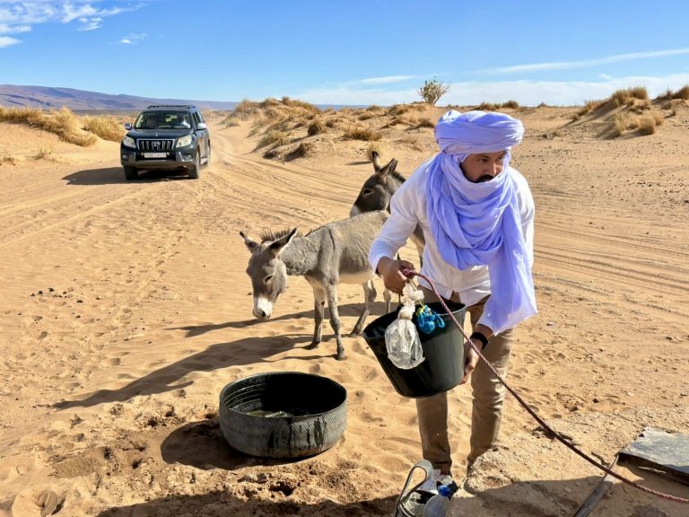 Why Is Erg Chegaga One of Morocco’s Most Authentic Desert